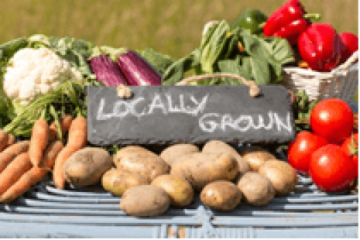 Preserving Foods at the Local Level