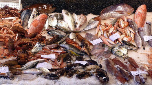 Best Practices for Maintaining Seafood