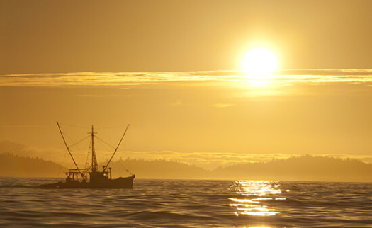 Flake Ice for the Fishing Industry