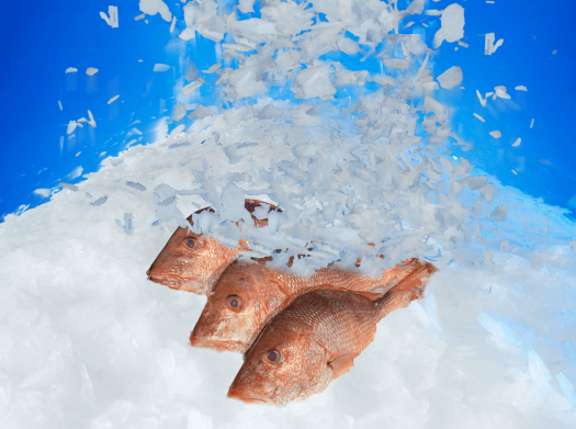 No better ice machine on the market