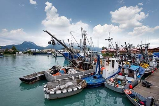 From Sea to Plate, Howe Ice Has You Covered