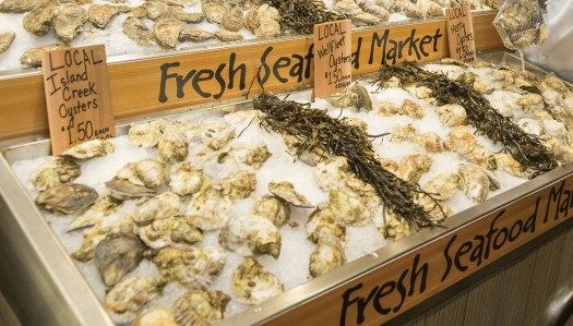 Howe Flake Ice—In the Entire Food Service Industry Ecosystem