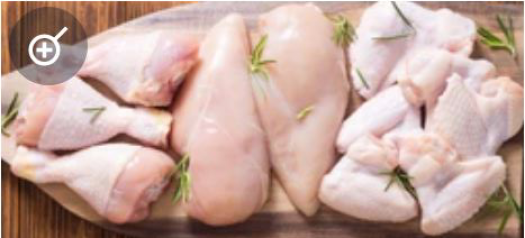 International Production and Processing Expo